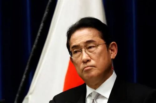 谁将在未来接替岸田成为日本新首相？