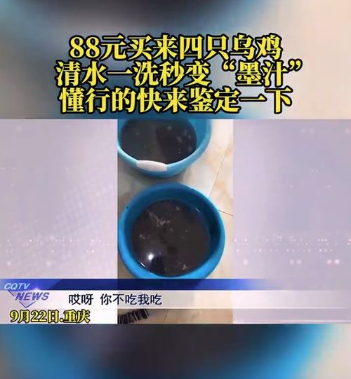 网友质疑：88元网购4只乌鸡，洗出一盆黑水，客服解释正常现象引关注