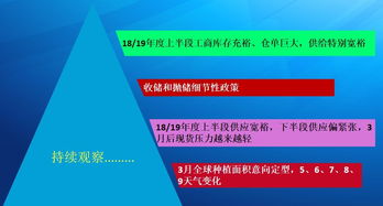 中央政策关键点解析：对经济形势的新判断与展望