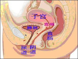 两岁女童肠穿孔住院10天，医生警告：别再玩磁力珠了！