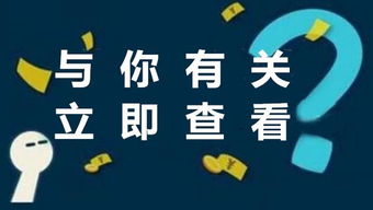 家长质疑钉钉打卡与教育减负，为何教育减负不能忽视家长的需求？