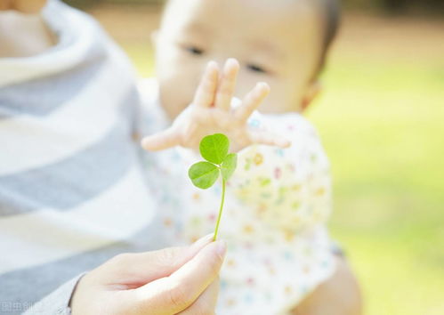 让强大内心成为孩子成长的种子：五种关键的心理营养助他茁壮成长