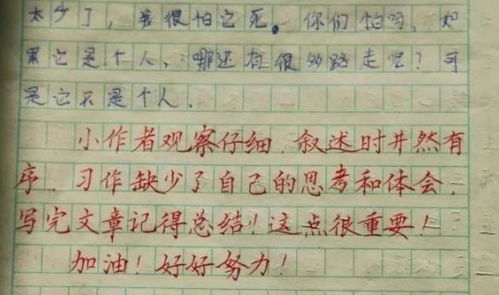 乡村女教师批改学生作业成网络热门：字迹宛如印刷体，好评连连