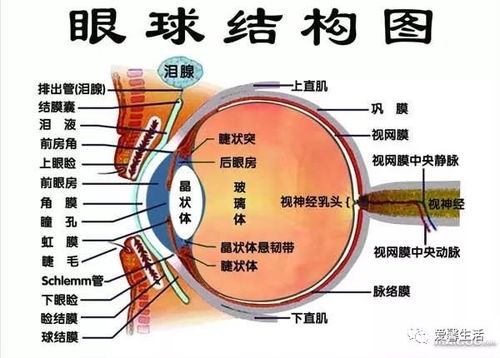 改善老年人视力，红光治疗法值得尝试！