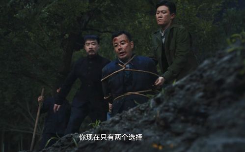 《暗夜与黎明》：六名特务，五个代号，五种性格，伯劳与林鸱的隐秘较量