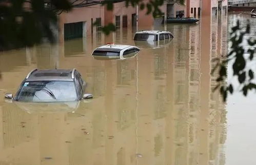 台风暴雨后：哪些车损保险公司不赔偿?