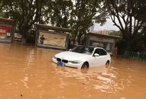 台风暴雨后：哪些车损保险公司不赔偿?