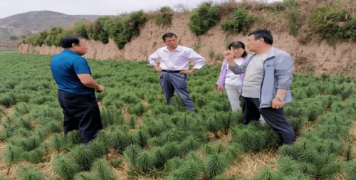 感受大自然的力量：在版纳做一名绿色生态农民