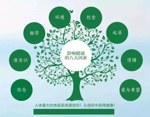 秋季养生指南：五种颜色的养护方式揭示你的健康秘密