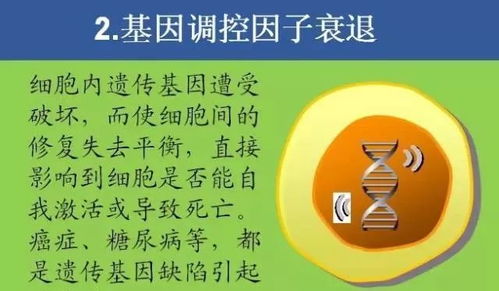 秋季养生指南：五种颜色的养护方式揭示你的健康秘密