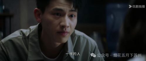 《半熟男女》高鹏表白后，韩苏为何突然回到江州？真相揭露