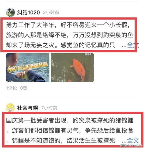 揭秘：趵突泉内游客大量投喂导致鱼儿撑死？事实真相何在？

网友们的疯狂投喂：真实的趵突泉鱼真的感到饥饿了吗？