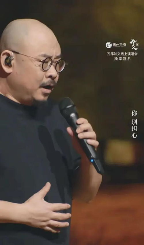 刀郎演唱会冲上热搜，网友热议其音乐才华与影响力