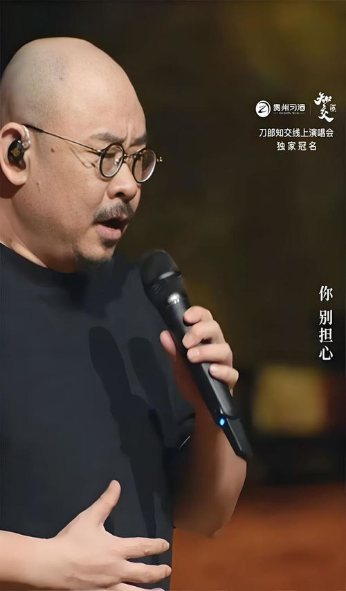 刀郎演唱会冲上热搜，网友热议其音乐才华与影响力