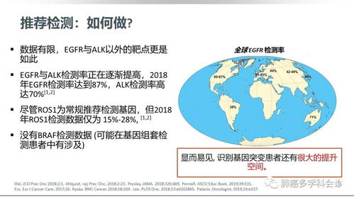 宁波大学发布重要研究成果：新的肺癌生物标志物和治疗靶点，有望推动肺癌的早期诊断与精准治疗