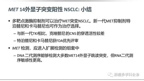 宁波大学发布重要研究成果：新的肺癌生物标志物和治疗靶点，有望推动肺癌的早期诊断与精准治疗