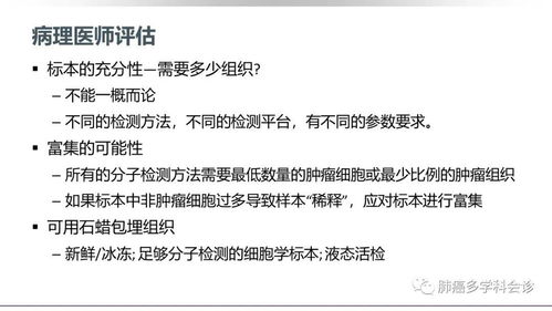 宁波大学发布重要研究成果：新的肺癌生物标志物和治疗靶点，有望推动肺癌的早期诊断与精准治疗