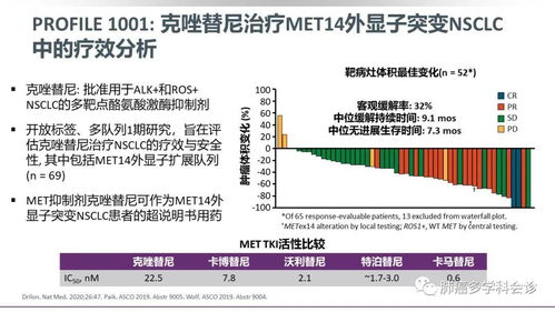 宁波大学发布重要研究成果：新的肺癌生物标志物和治疗靶点，有望推动肺癌的早期诊断与精准治疗