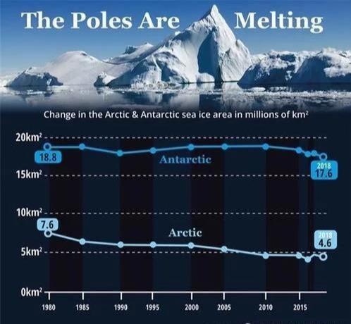 南极正在加速变绿，科学家称速度之快令人震惊！