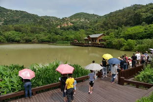 贵州：千村千面风情独特，乡村旅游引人驻足