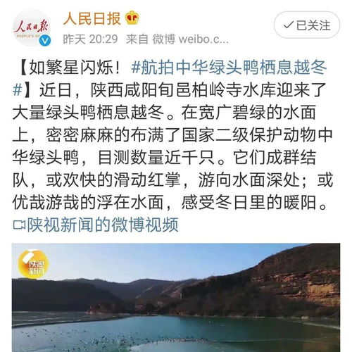 全国各地热议固原大事，网友纷纷点赞其积极发展与进步