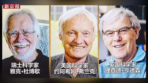 两位不务正业科学家意外赢得2024年诺贝尔物理学奖，揭开未知世界的神秘面纱