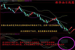 股市崩盘！两天最大损失77%，近2400只股票跌超10%！后市会如何？”