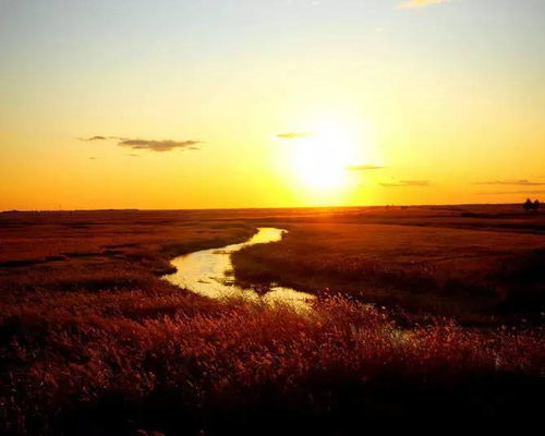 夕阳余晖下的美丽诗篇：莫让桑榆暮霭遮望眼