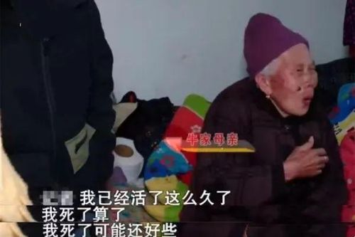 学霸儿子与丈母娘争执：为了教育他，智斗丈母娘，连车标都被掰断