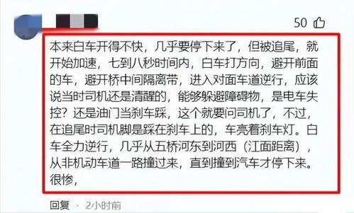 东北雨姐红薯粉事件：官方通报，或将面临牢狱之灾