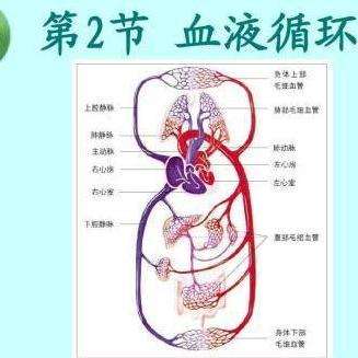 癌症是否能通过血液循环全身传播？

请告诉我是否有其他问题需要我帮助解答，或者您想了解的关于癌症的信息。