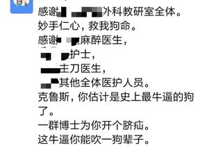 网友评论，这位外科医生为何要为儿子缝外套？真是杀鸡用牛刀！