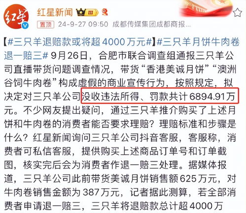 东北雨姐：打假的代价应由谁承担？