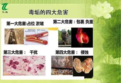 细胞宏基因组揭示：揭开食物中微生物的秘密，重塑肠道健康的新篇章