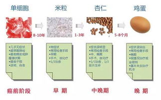 细胞宏基因组揭示：揭开食物中微生物的秘密，重塑肠道健康的新篇章