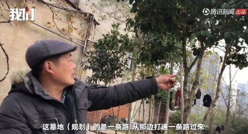 醒来的发现：我在网络上梦见的坟墓倒掉了？解析梦境背后的故事