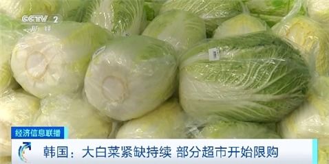 韩国大白菜严重短缺：为何不早向中国求助？背后原因曝光