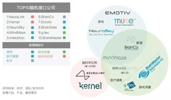 大摩深度解析：脑机接口前景：潜在的医疗科技机遇或挑战？