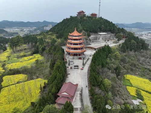 广州神秘隐秘之地：增城金兰寺的详细介绍