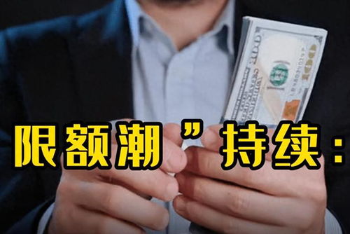 托育园突然暂停运营：家长支付高额学费引关注