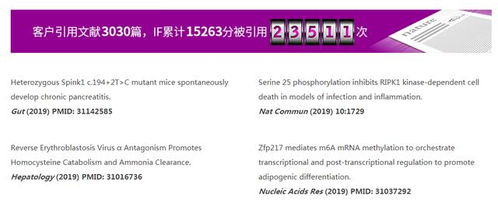 科学证明：医诺维国自然中标率提升策略 - 基础与预实验并重