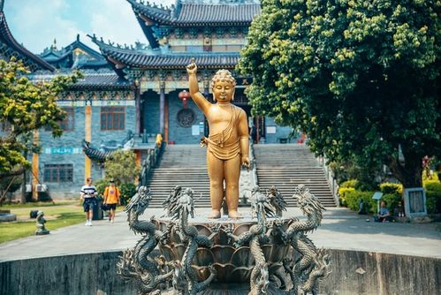 深圳东山寺：背山面海的宁静之地，带你领略600年的历史韵味