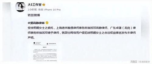 汪小菲回复欠款千万，网友质疑是否涉及抚养费与工资纠纷？