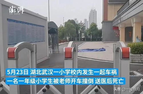 湖南一教师在校内驾车撞倒学生致死，公安机关已刑拘