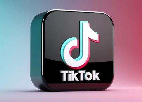 秘密在TikTok上赚钱：一款保温杯大赚亿元