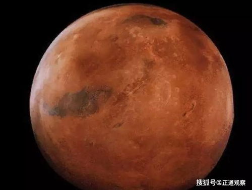 重塑火星：地衣在可能的改造计划中扮演重要角色