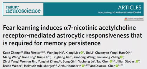 Apoe E1在AD发病机制中的关键角色：研究揭示小胶质细胞与APOE内吞异常聚集的关系