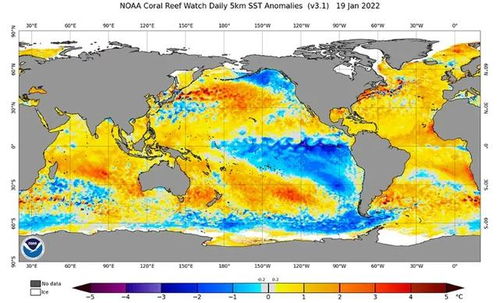 2023年拉尼娜现象的最新预测：新的一年又将带来寒冷吗？