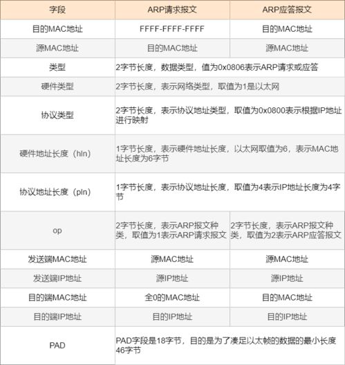 詹杰就要走了？ Ale详解：明年 EDG 会有五个新成员，是否会继承老将赵礼杰的辉煌?