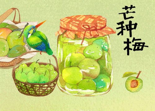 意想不到的美食创新：网友用24节气做24道菜火爆朋友圈